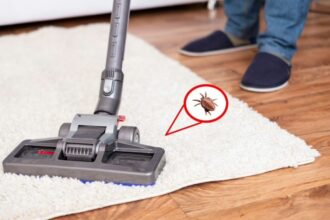 Effective Pest Control tucson